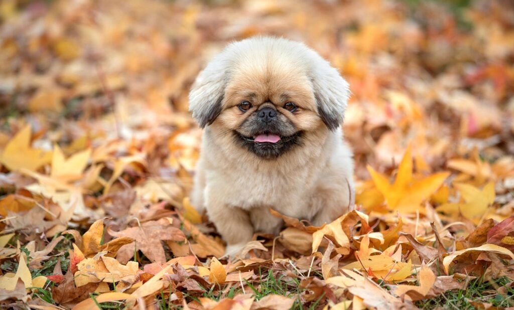 50代向けアイクリームの口コミでおすすめは？