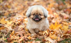 50代向けアイクリームの口コミでおすすめは？