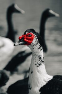 むくみを取りたい人必見の朝におすすめの方法は？