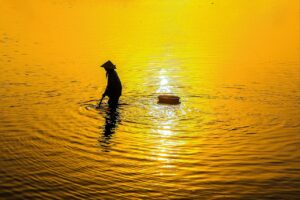 メラニン排出に効果的な食べ物は何ですか？