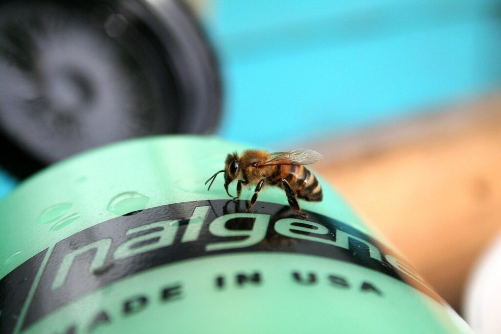 水分補給の目安は美容にどのように影響するのか？