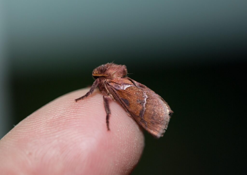 40代が夜更かしをやめたい時に試すべき方法は？