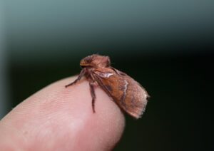 40代が夜更かしをやめたい時に試すべき方法は？