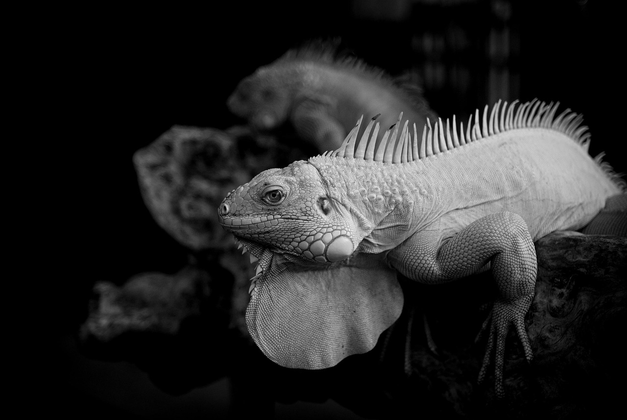 40代がスレッドリフト後に感じる糸の痛みはどのようなものですか？