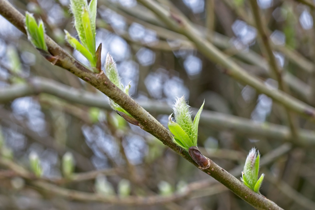 すっぴんで老け見えする原因とは何ですか？