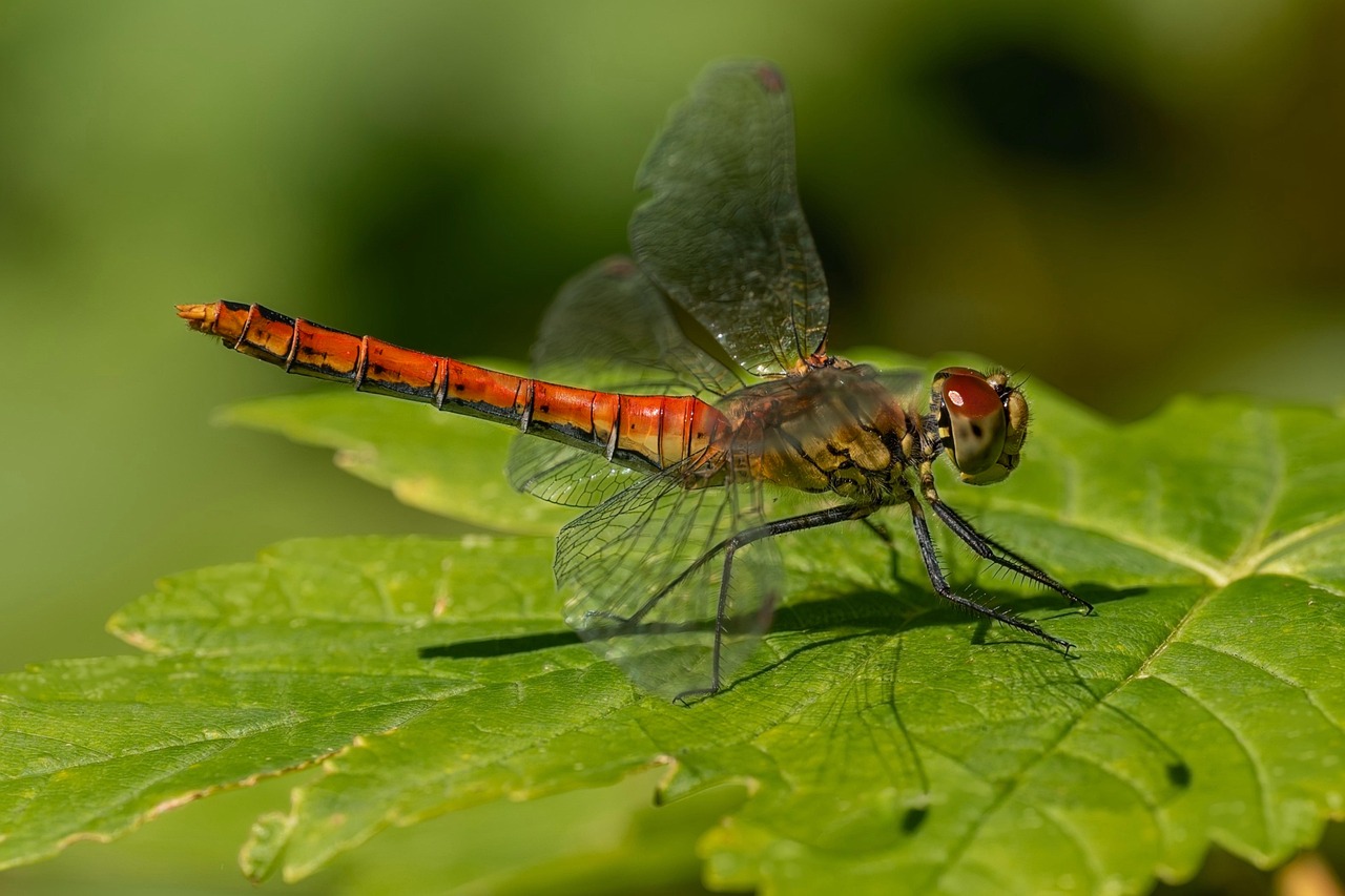 ファンデーションの種類と選び方を徹底解説しますか？