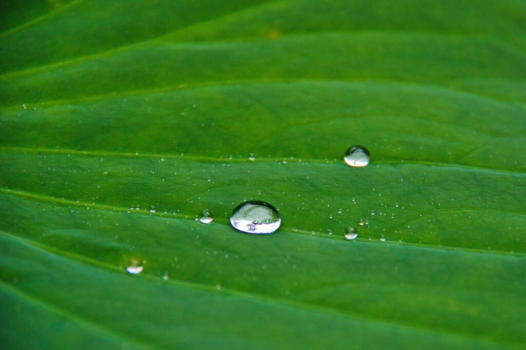 美容点滴の種類と効果を比較するとどれが最適？