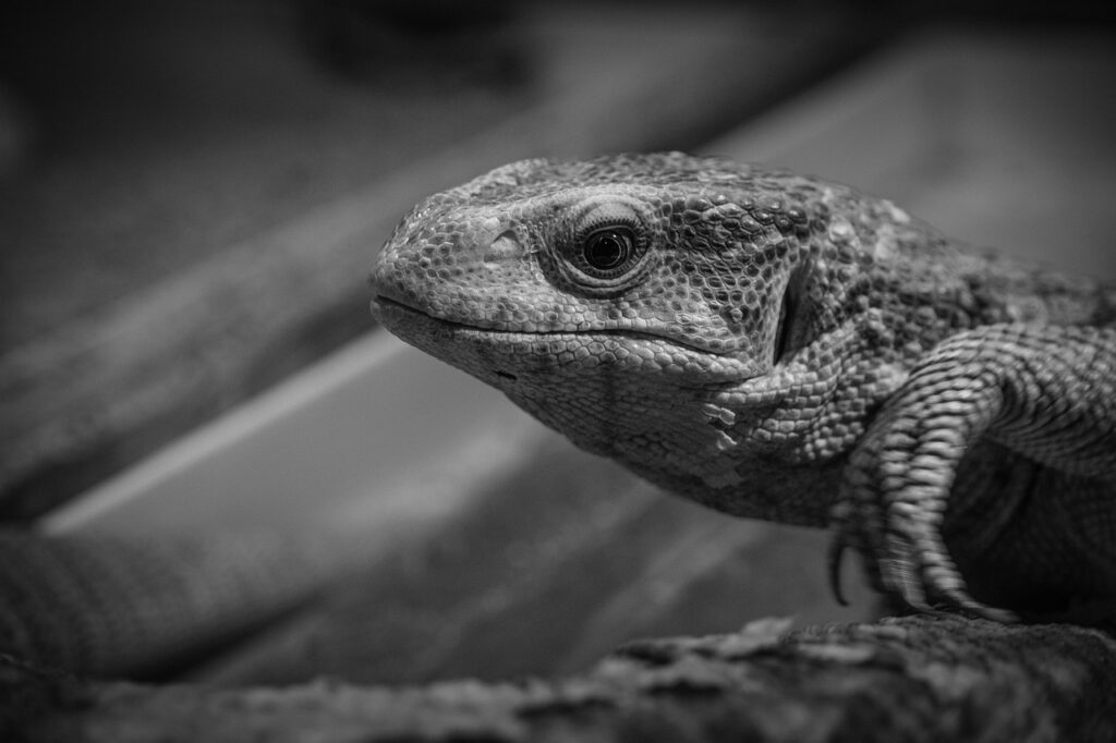 自宅で簡単に姿勢を良くする方法は？