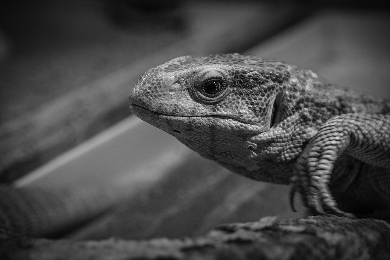 自宅で簡単に姿勢を良くする方法は？