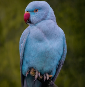 40代のストレートネックを改善するための効果的な方法は？