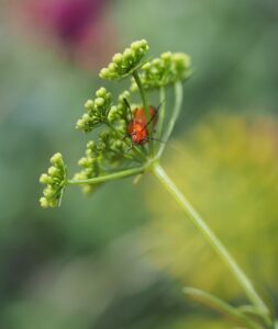 くせ毛がひどくなる原因は加齢によるものなの？