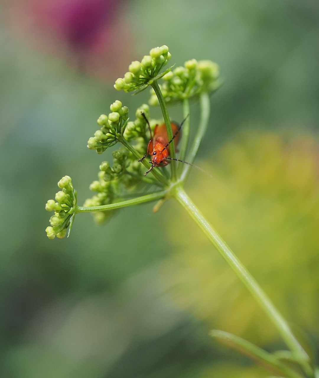 くせ毛がひどくなる原因は加齢によるものなの？