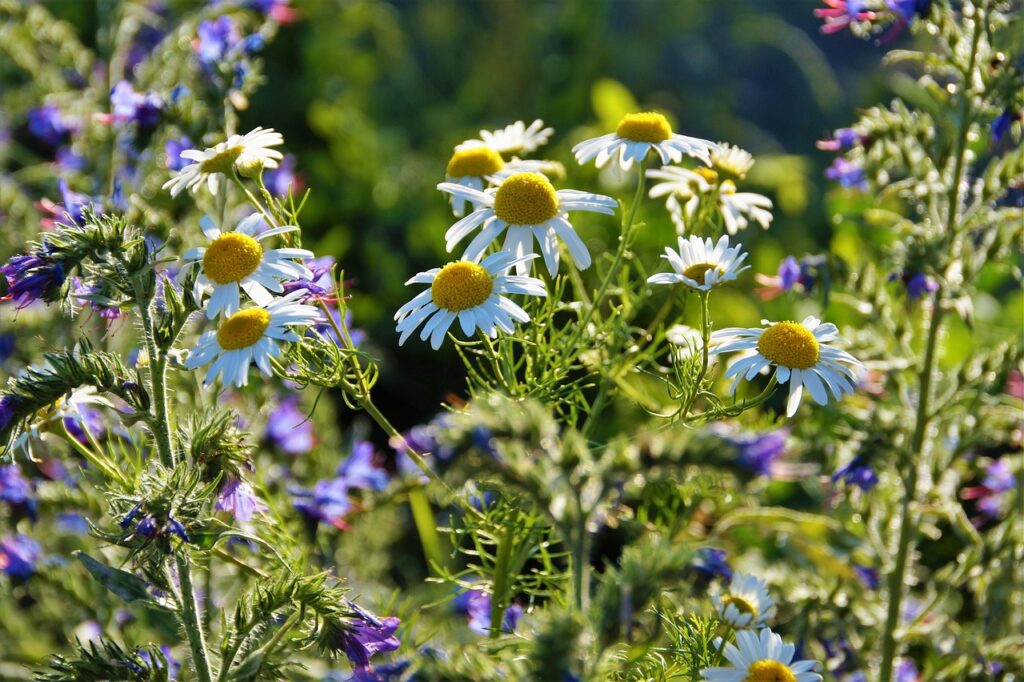 間違ったエイジングケアの見分け方とは？