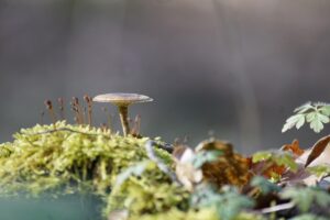 ダーマペンで毛穴が改善する40代の効果と推奨回数は？