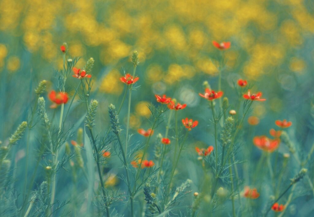 50代が年齢に負けない美しさを保つための習慣とは？