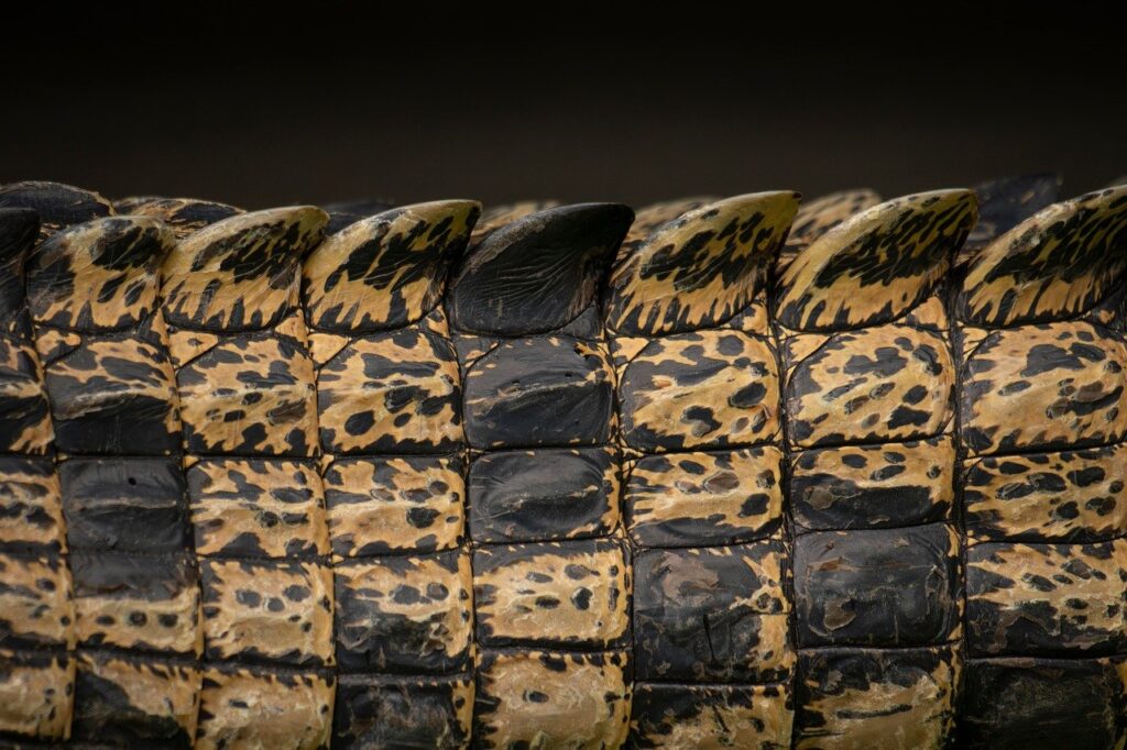 更年期における肌のかゆみの原因とその対策は？