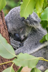 有酸素運動を美容に活かすための何分が目安なのか？