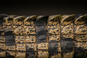 水分摂取が肌の潤いに与える影響はどれくらい？