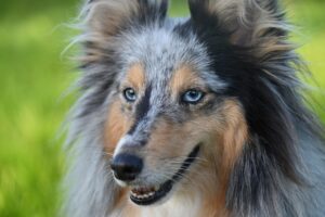 ナイアシンアミドによるしわ改善の効果は期待できるか？