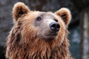 目の下のシミとクマの見分け方は？